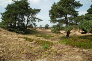 Sterk maken voor behoud van de voorzieningen en natuur