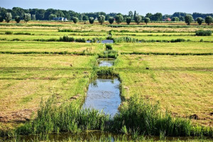 Bijeenkomst landbouw en natuur